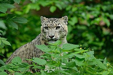 开放世界APRG《物质世界2》正式公布 发售日期待定