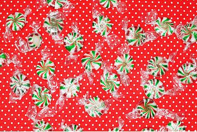 《夜莺传说》EA版发行日期提前至2月20日